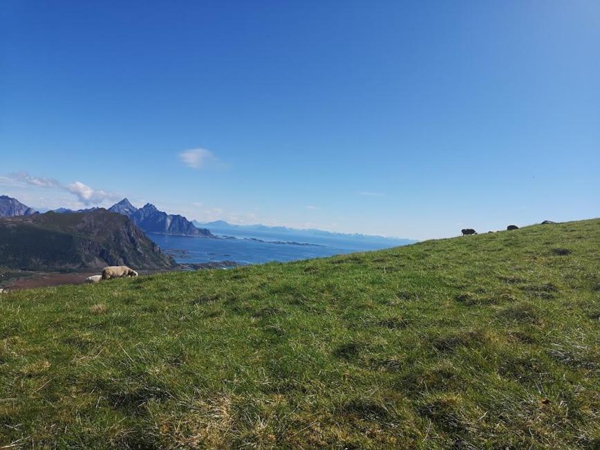 Hotel Glamping Lofoten Kongsjorda Exterior foto